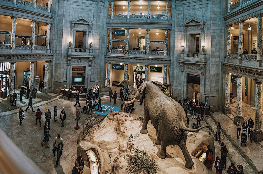Smithsonian-Tour-History-Natural-Washington-DC-Museum